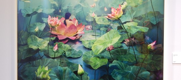 JeeYoung Lee: Stage of Mind