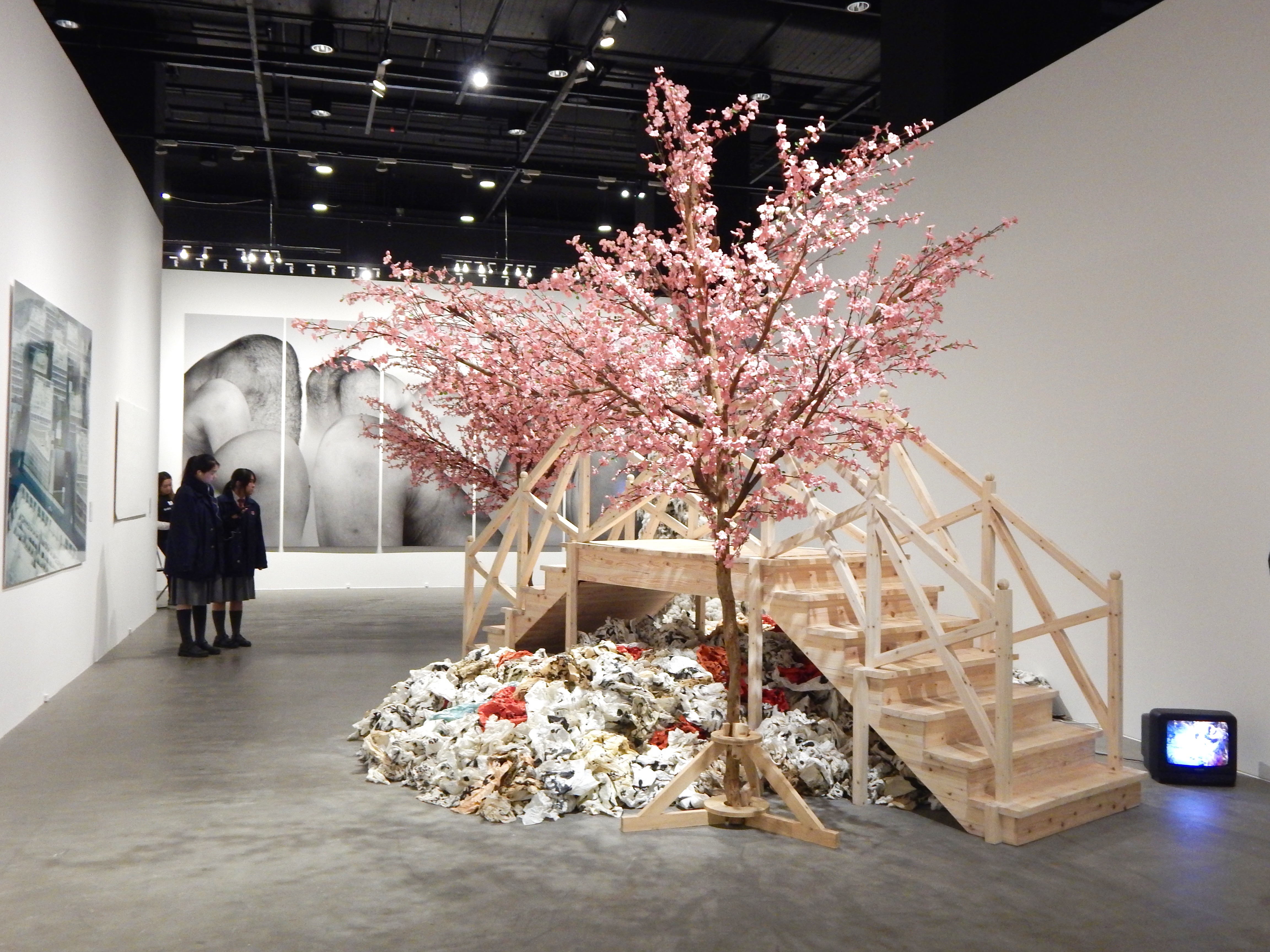 Four Decades of Chinese Contemporary Art | M+ Sigg Collection