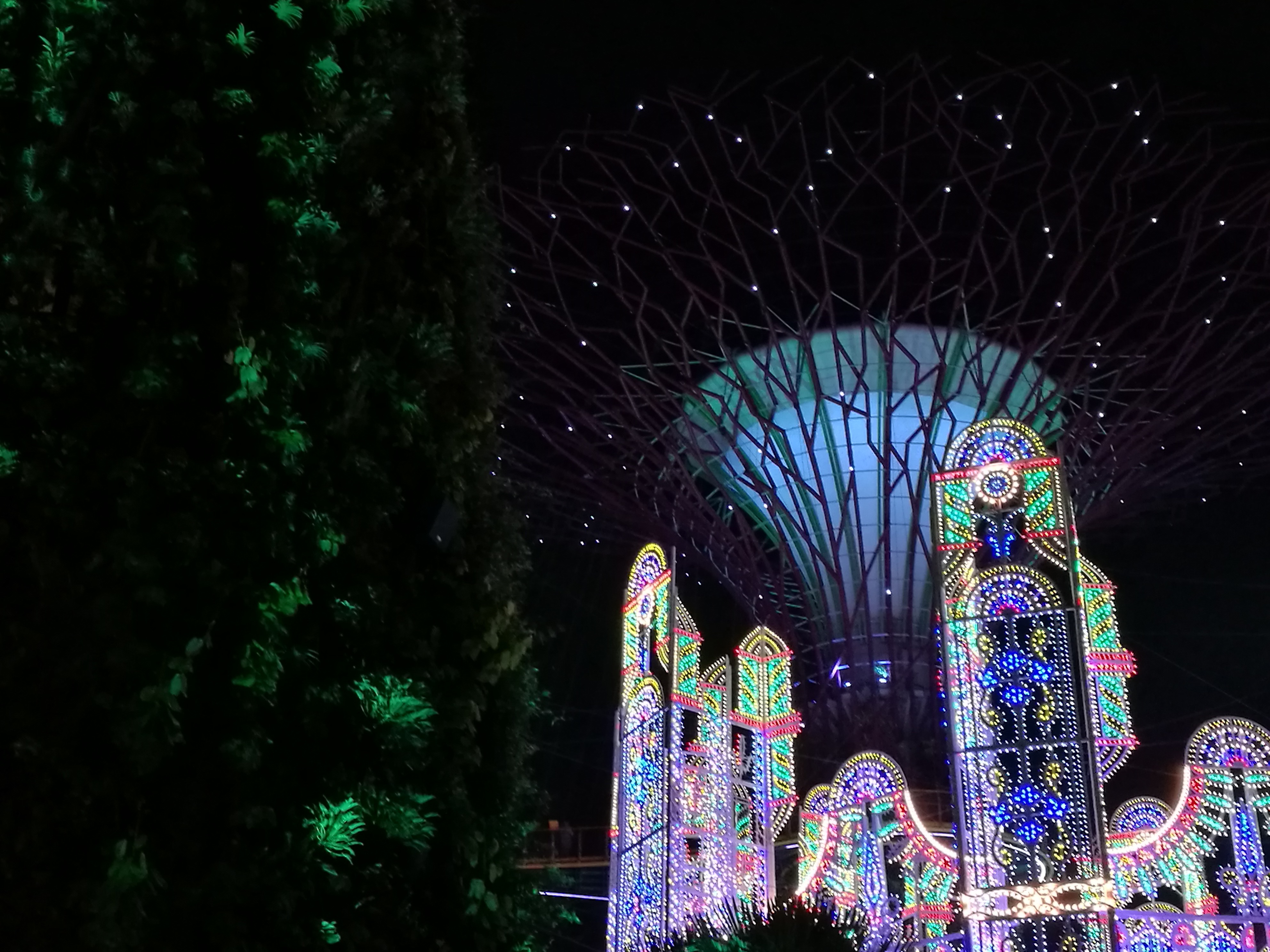 Christmas Wonderland at Gardens by the Bay