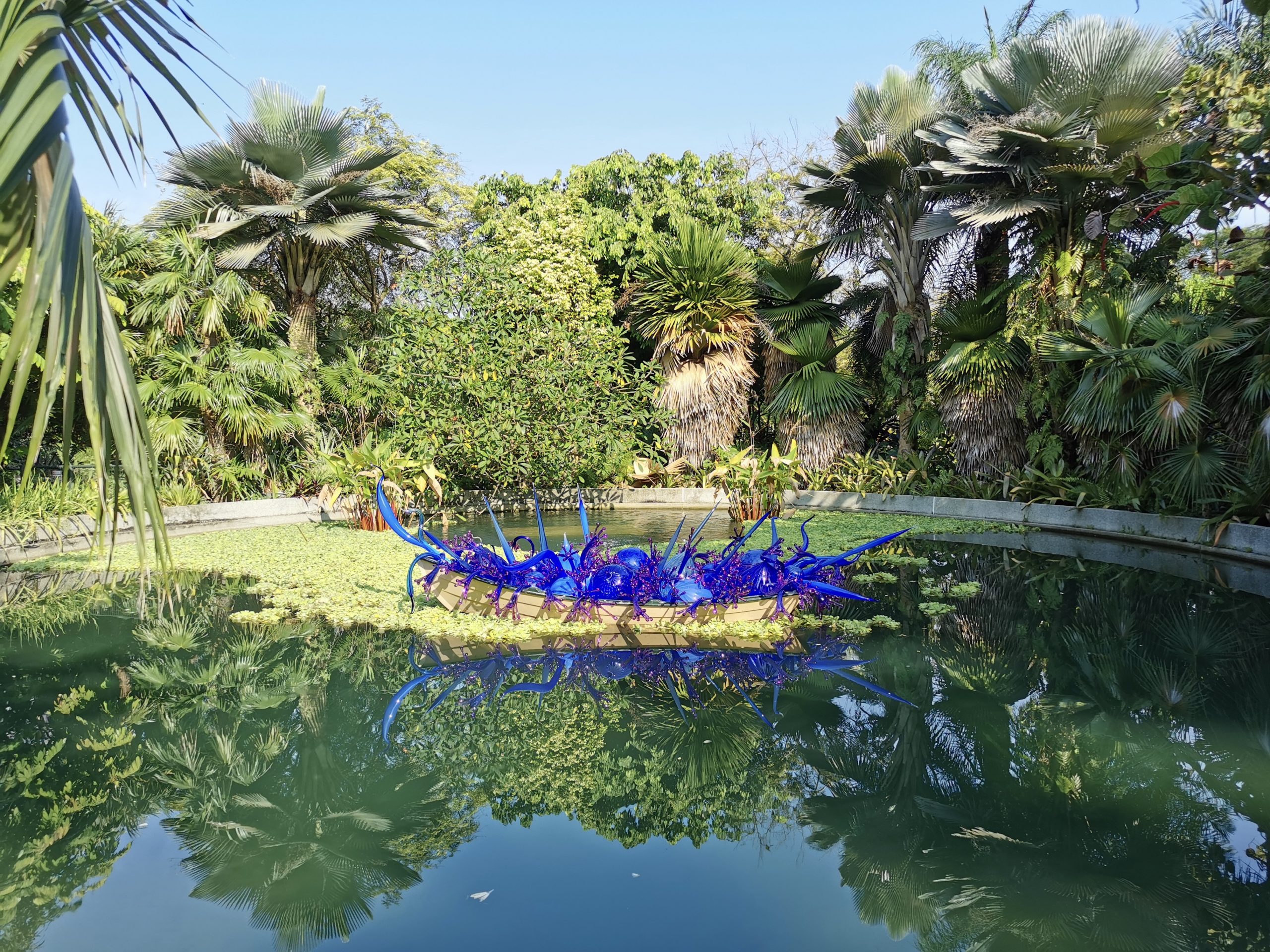 Dale Chihuly: Glass in Bloom | Gardens by the Bay Exhibition