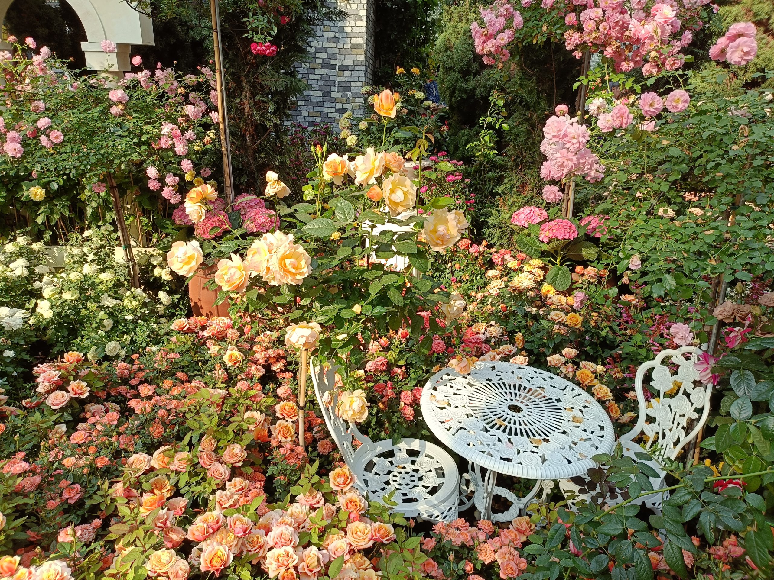 2025 | Flower Dome at Gardens by the Bay